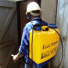 Pest Control Experts: Emily Lambert